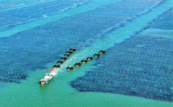 以海为田开辟“蓝色经济”新途径