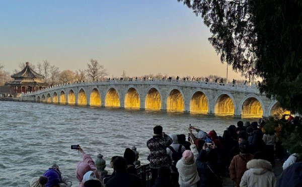 寒潮劲风里的金光盛宴