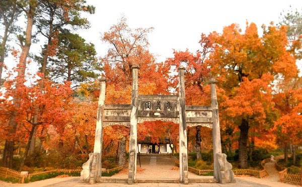 江苏苏州：天平山层林尽染惹人醉