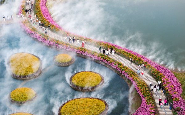 水雾弥漫绚烂花海 市民乐享冬日浪漫