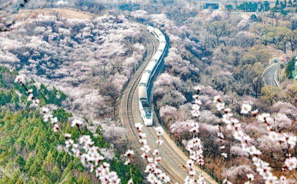 北京：开往春天的列车