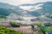 梯田如画