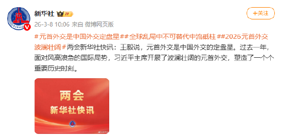 王毅：元首外交是中国外交的定盘星