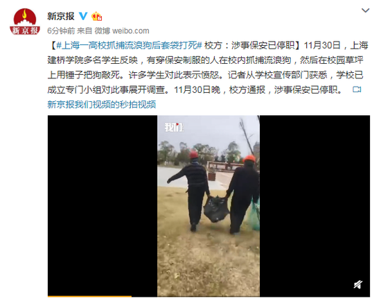 高校抓捕流浪狗后套袋打死 校方：涉事保安已停