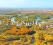 超美！新疆的秋天