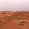 新疆南部红色沙漠