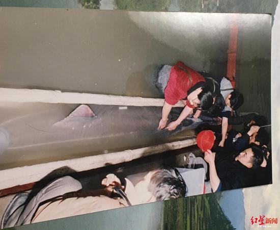 2003年在宜宾救助长江白鲟时，张志英现场拍摄的照片