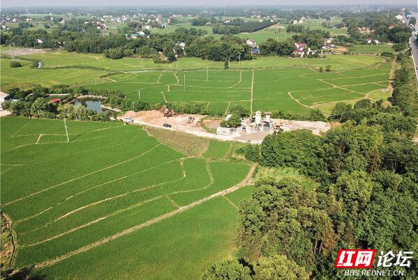 学思想、强党性、重实践、建新功丨湖南省益阳市赫山区泉交河镇：田间地头学理论 扎实推进第二批主题教育