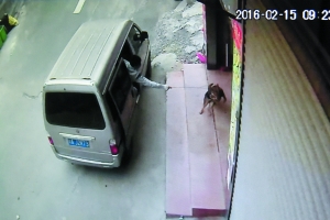 监控显示，面包车上的人用工具迅速将狗拖走。信息时报记者 叶伟报 摄
