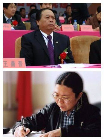 王庸晋、魏武（资料图）