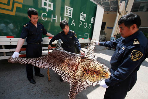 走私珍贵物品 资料图