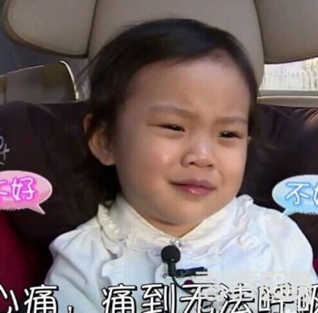 除了节目,姐姐靠着原生态的呆萌目前还活跃在朋友们的表情包当中吧!