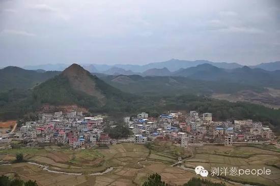 张家乐所在的村子全貌。新京报记者薛珺 摄
