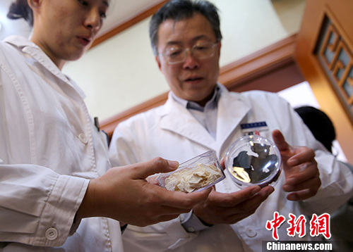 资料图。中新社记者 刘震 摄