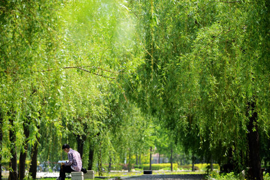 青岛科技大学，明媚春光中读书的学生视觉中国供图（资料供图）