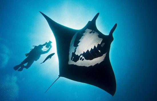 资料图片：墨西哥附近海域