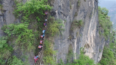 5月14日，15个孩子走崖壁，爬藤梯，大约用了2个小时，到达“悬崖村”。 本版摄影/新京报首席记者 陈杰