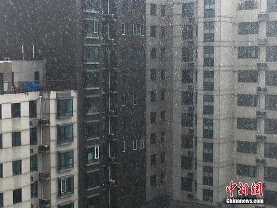 6月10日，北京自西向东迎来一场雷阵雨，雨中伴有雷声及闪电，局部地区出现冰雹。图为北京东四环朝阳路附近出现冰雹天气。