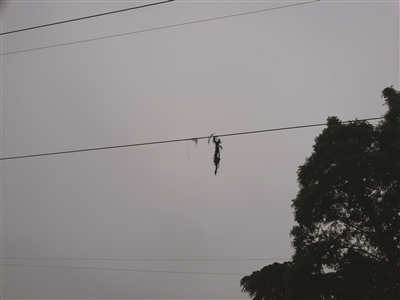 鱼竿的尖梢还挂在电线上。