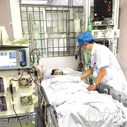 一周过去了，毕雪仍在昏迷中