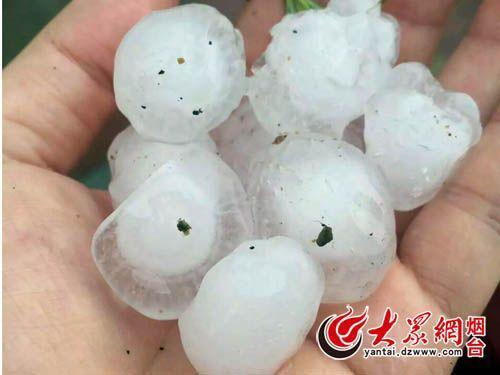 图片来源：大众网