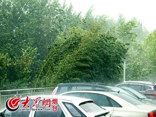 图片来源：大众网