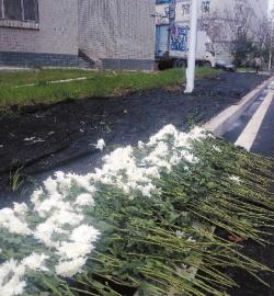 事发地点路边摆着鲜花寄托哀思 新文化记者 唐奇 摄 