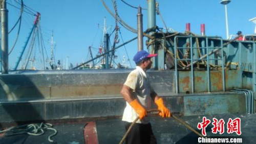 福建晋江深沪渔港，一些渔民正在加紧卸货、收网。廖静 摄