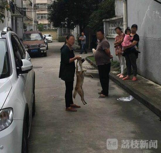 女子将狗悬挂树上吊死 被阻时持刀威胁他人