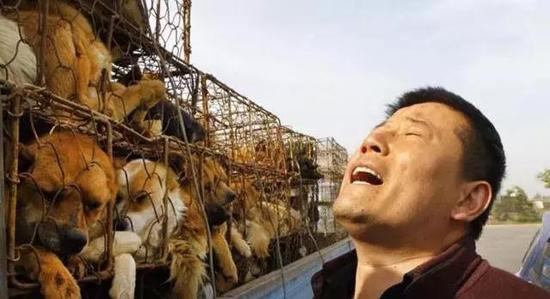 斗牛看三张牌抢庄技巧