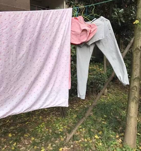 前几天,婆婆在楼下晾晒的内衣裤
