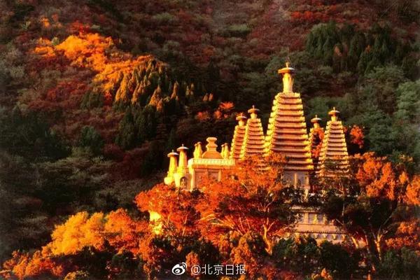 779彩票ios808彩票下app下载