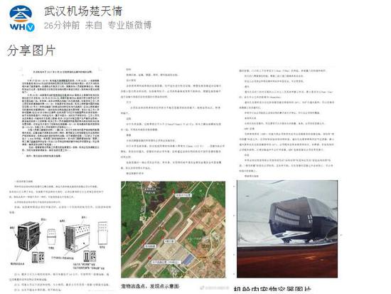 武汉天河机场相关情况声明截图。