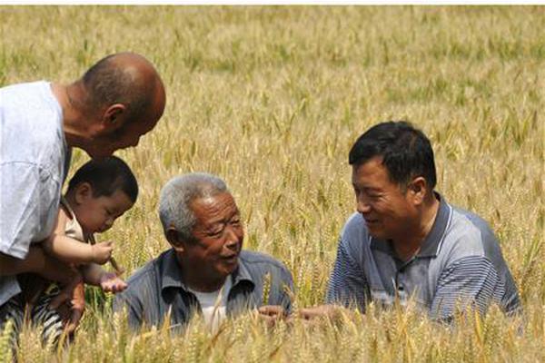 大棋牌游戏都是在国外运营吗:新疆自治区党委政法委副书记戴光辉接受