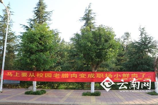 高校毕业季横幅戳泪点:酒红了脸 话红了眼|标语|横幅|校园_新浪新闻