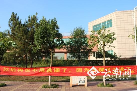 校园标语云南网讯(记者 熊强 实习生 张彤)毕业季临近,大学校园生活中