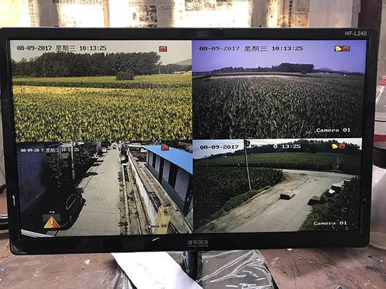 摄像监控画面,右下角马路为进入遗址的必经之路,每晚有民警蹲守.