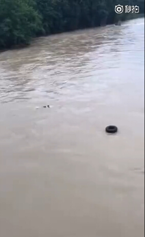 有好心人扔了一个救生圈下去，生怕男子出了意外。