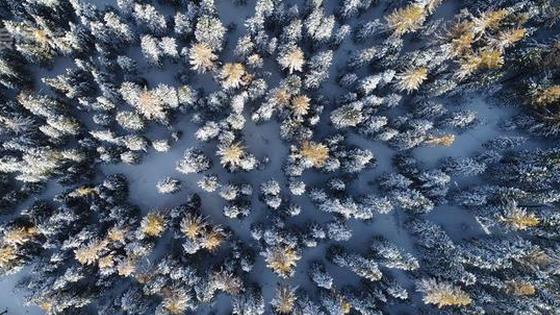 航拍新疆哈密入秋第一场雪