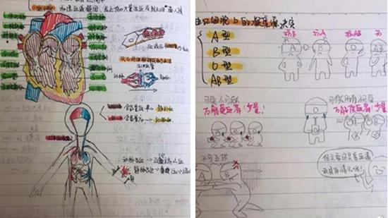 杭州初三女生把科学笔记整理成绘本