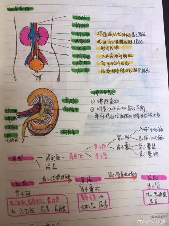 连ABO血型都被整成了自带情节的连环画，主角是A、B、O、AB四个小人。