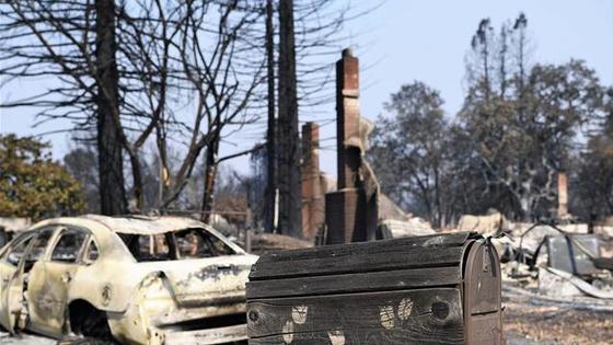 加州北部森林大火已造成35人死亡