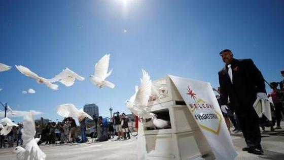 拉斯维加斯市政广场放飞白鸽