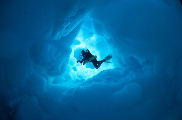 活动记录了北极冰盖下的世界 08rolex/08benoit poyelle/deepsea