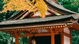 每一座日本寺庙，都藏着一位鸡汤大师