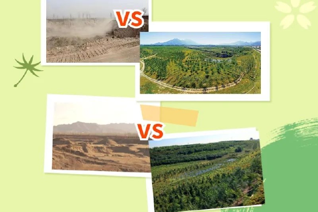 看图盘数据 | 一图读懂“重生北京绿”