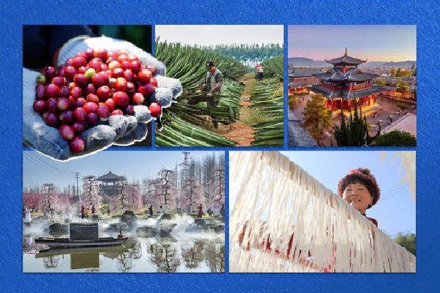 看图学习·回眸2025丨打好乡村振兴的“王牌” 总书记这样勉励大家