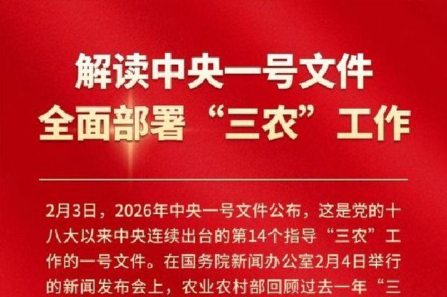 【图解】解读中央一号文件 全面部署“三农”工作_新浪新闻