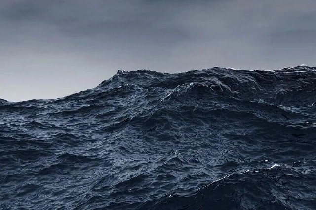 手机新浪网