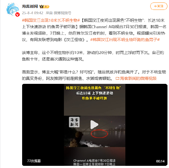 韩国汉江夜间出现黑色“不明生物”:长达10米 上下快速游动